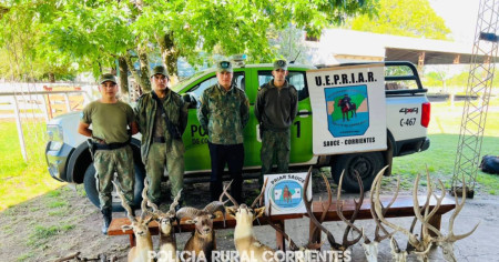 Secuestraron varios elementos tras allanamientos por caza furtiva en Corrientes